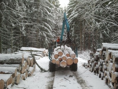 2012-12-06 14.55.10.jpg