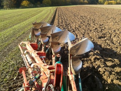 2013-10-24 11.20.46 (640x480).jpg