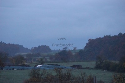 Bildla Nummä 017.jpg