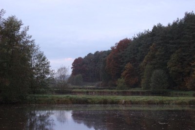 Bildla Nummä 024.jpg