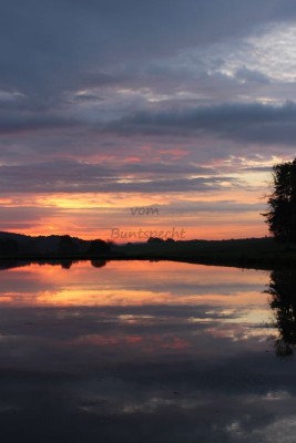 Bildla Nummä 026.jpg