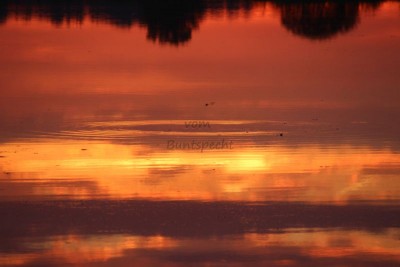 Bildla Nummä 034.jpg