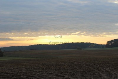 Bildla Nummä 062.jpg