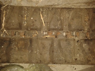 Raupe (1).jpg