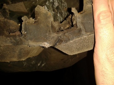 Raupe (2).jpg