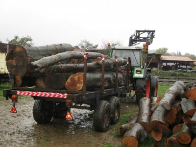 Holztransport 2.JPG