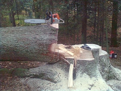 Bild1076.jpg