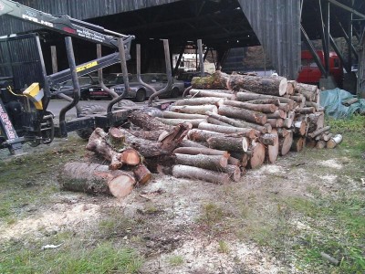 K800_WP_20131107_018.JPG