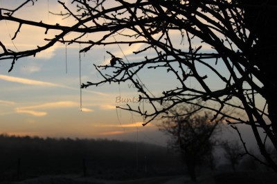 Bildla Nummä 004.jpg