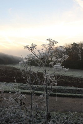 Bildla Nummä 007.jpg