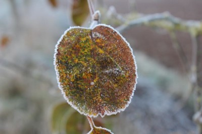 Bildla Nummä 011.jpg