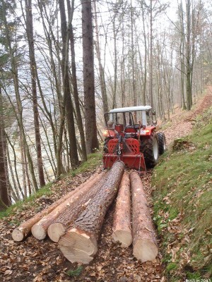 Lastfahrt_308_PB130010_50.JPG