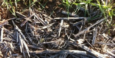 Keine Bearbeitung.JPG