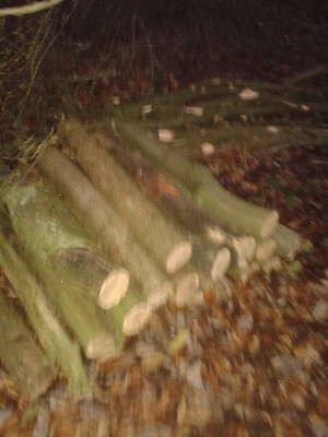 Polter Dunkel Buche klein.jpg