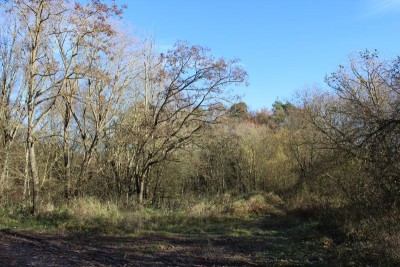 Bildla Nummä 001.jpg