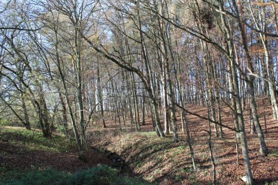 Bildla Nummä 002.jpg