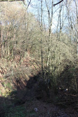 Bildla Nummä 003.jpg