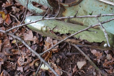 Bildla Nummä 006.jpg