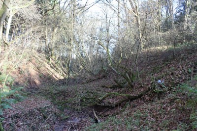 Bildla Nummä 008.jpg