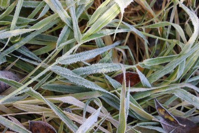 Bildla Nummä 004.jpg