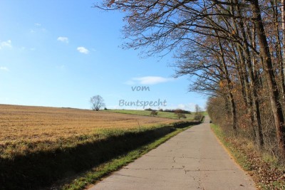 Bildla Nummä 013.jpg