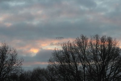 Bildla Nummä 006.jpg