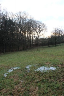 Bildla Nummä 014.jpg