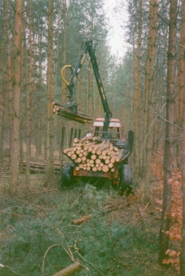 Beim Holz rücken..jpg