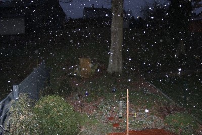 Bildla Nummä 001.jpg