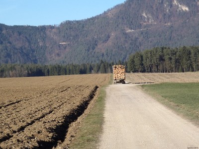 Ein_Wagen_steht_alleine_in_Feld_und_Flur_PC100040_75.JPG
