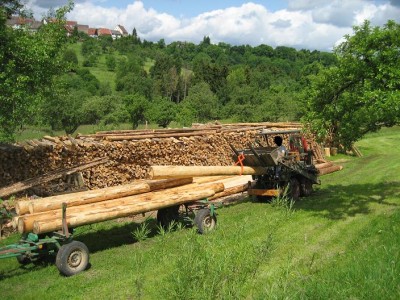 Verladen Sägeholz.jpg