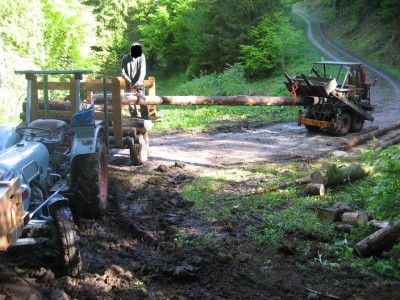 Brennholz ablängen.jpg