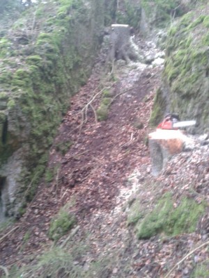 2013-12-13 14.59.44 (480x640).jpg