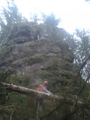 2013-12-13 15.11.18 (480x640).jpg