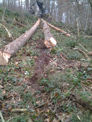 2013-12-13 10.34.53.jpg