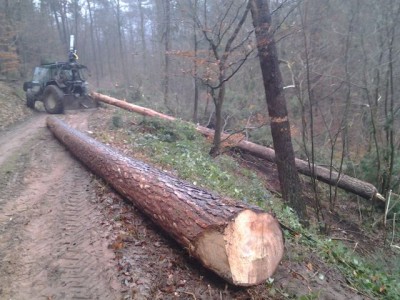 2013-12-14 12.30.24.jpg