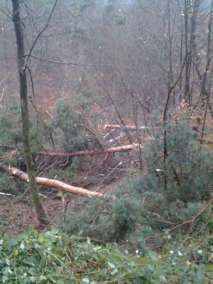 2013-12-14 12.30.38.jpg