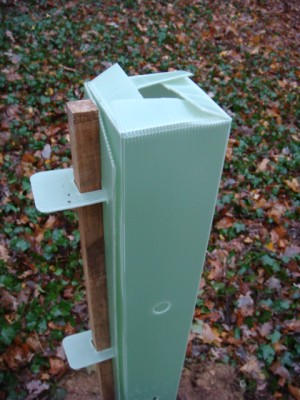 Pflanzhülse oben.JPG