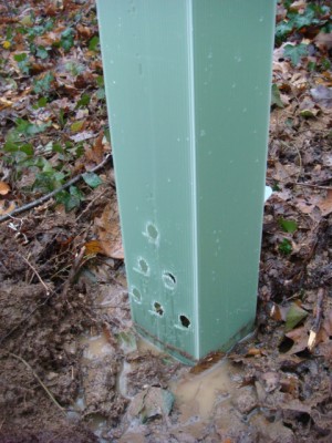 Pflanzhülse unten.JPG