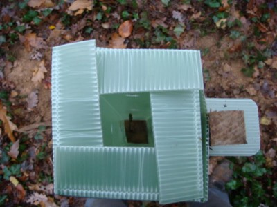 Pflanzhülse Ansicht von oben.JPG