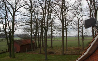 IMG_9167 (Medium).jpg