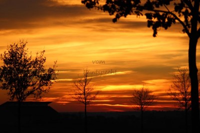 Bildla Nummä 004.jpg