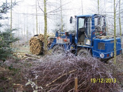 brennholz birke 012.jpg