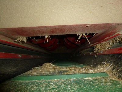 k-P1020125.JPG