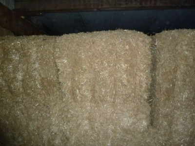 k-P1020124.JPG
