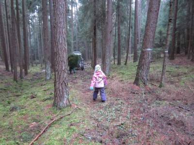 Bildla Nummä 002.jpg