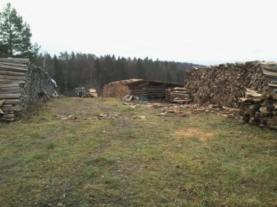 K1024_2013-12-23 09.25.36.JPG