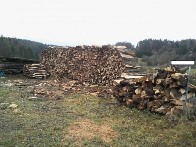 K1024_2013-12-23 09.25.45.JPG