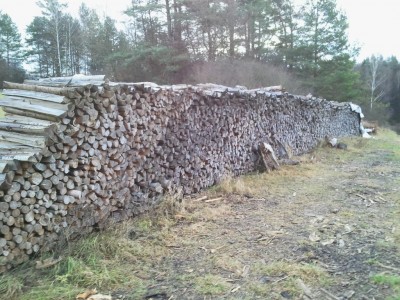 K1024_2013-12-23 09.25.54.JPG