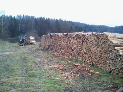 K1024_2013-12-23 09.26.10.JPG